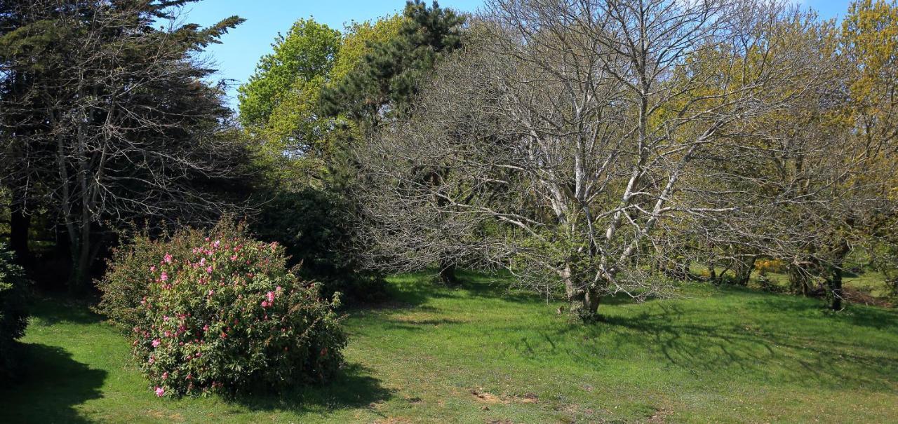 Aux Arbres Chanteurs Ploulech Екстер'єр фото