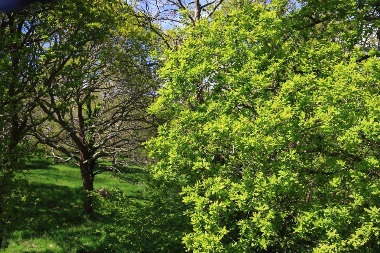 Aux Arbres Chanteurs Ploulech Екстер'єр фото